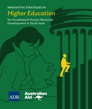 Cover of the book Innovative Strategies in Higher Education for Accelerated Human Resource Development in South Asia by Norio Usui