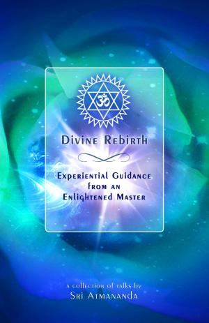 Book cover of Divine Rebirth: Experiential Guidance from an Enlightened Master