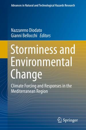 Cover of the book Storminess and Environmental Change by 