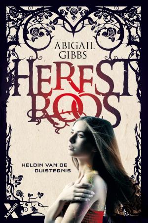 Cover of the book Heldin van de duisternis by Jeroen Siebelink