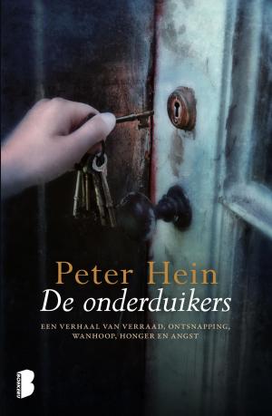 Book cover of De onderduikers