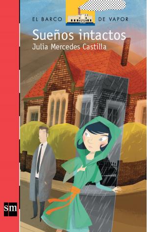 Cover of the book Sueños Intactos [Plan Lector infantil] Ebook by Roberto Santiago