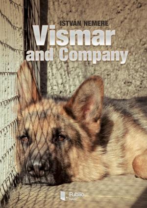 Cover of the book Vismar and Company by Brátán Erzsébet