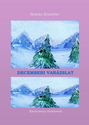 Cover of the book Decemberi varázslat by Brátán Erzsébet