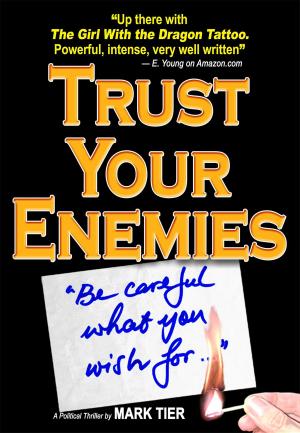 Book cover of Trust Your Enemies
