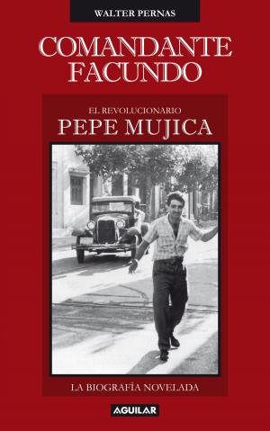 Cover of the book Comandante Facundo by Darwin Desbocatti