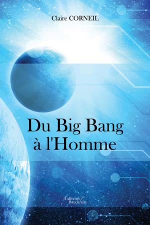Cover of the book Du Big bang à l'Homme by Gérard Kafadaroff