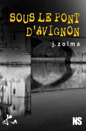 Cover of the book Sous le pont d'Avignon by Roland Sadaune