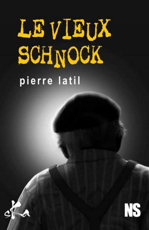 Cover of the book Le vieux schnock by Mouloud Akkouche