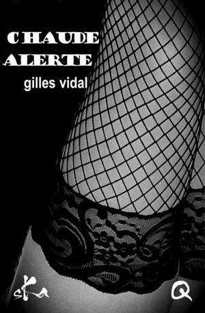 Cover of the book Chaude alerte by Gaëtan Brixtel