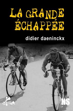 bigCover of the book La grande échappée by 