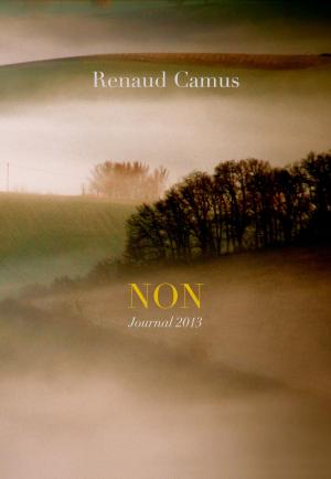 Cover of NON. Journal 2013