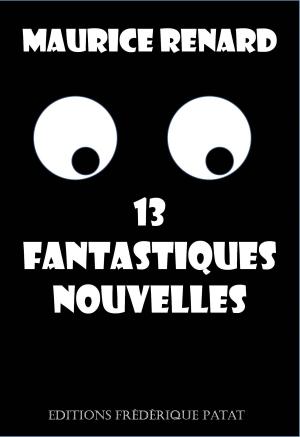 Cover of the book 13 fantastiques nouvelles by Henri ROBERT