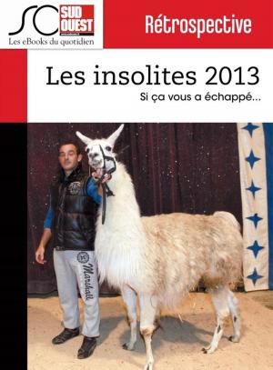 Cover of the book Les insolites de l'année 2013 by Journal Sud Ouest