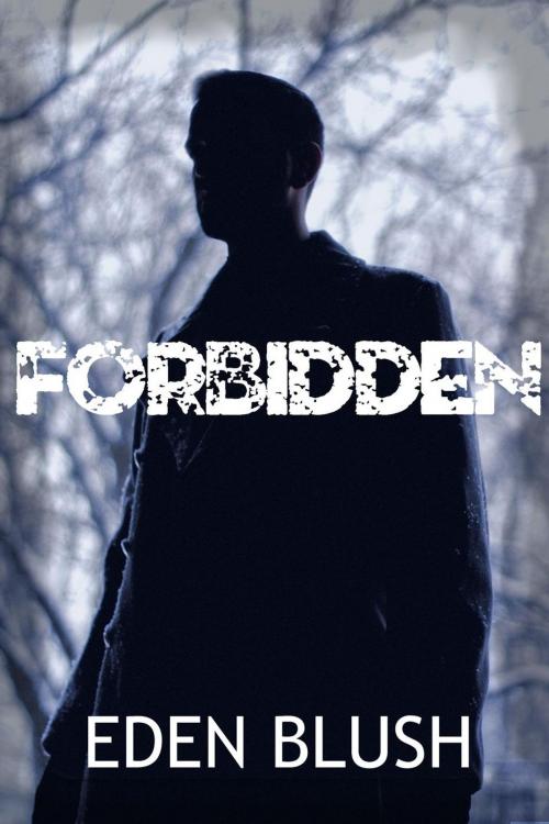 Cover of the book Forbidden by Eden Blush, Eden Blush