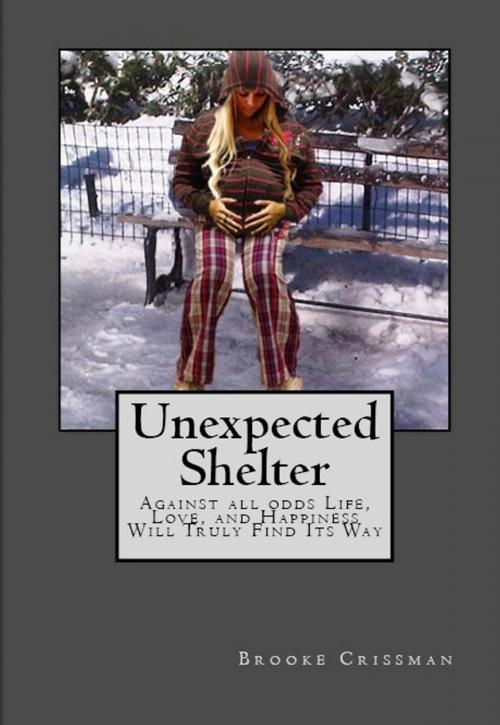 Cover of the book UNEXPECTED SHELTER by Brooke Crissman, Hope Book Publishing