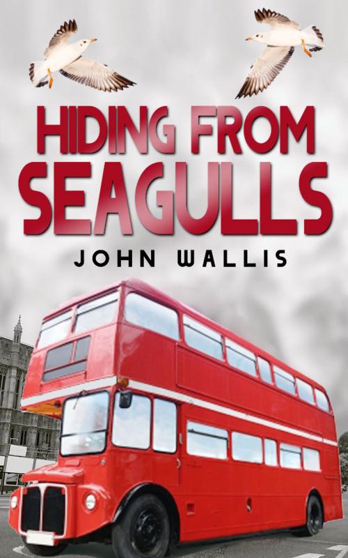 Cover of the book Hiding From Seagulls by john wallis, John Wallis