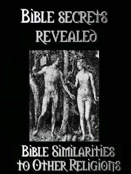 Cover of the book Bible Secrets Revealed by Jonathon Welles, Vindo Books