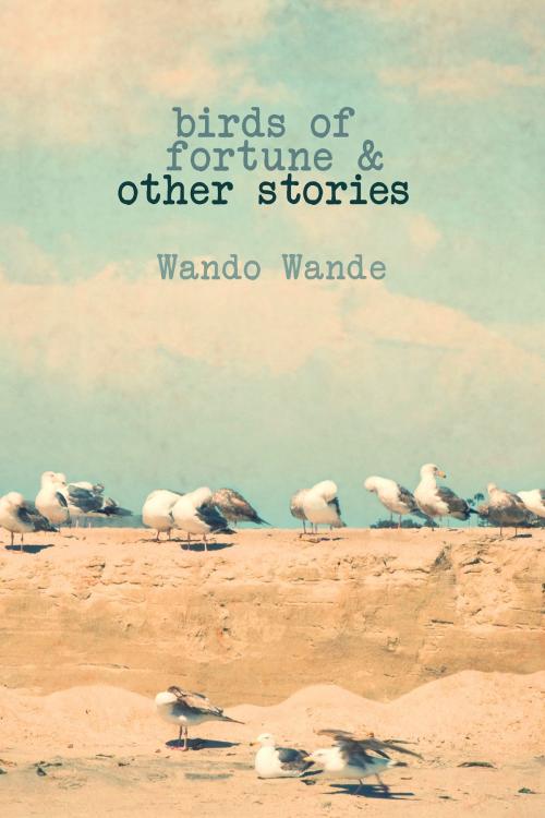 Cover of the book Birds of Fortune and Other Stories by Wando Wande, Crazyfish Olefish Press
