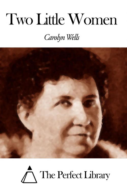 Cover of the book Two Little Women by Carolyn Wells, The Perfect Library