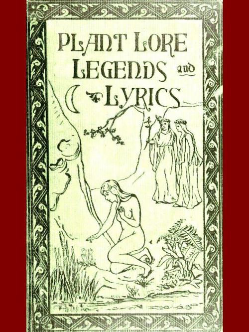 Cover of the book Plant Lore, Legends, and Lyrics by Richard Folkard, VolumesOfValue