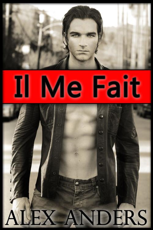 Cover of the book Il Me Fait by Alex Anders, RateABull Publishing