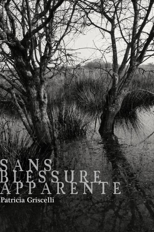 Cover of the book Sans Blessure Apparente by Patricia Griscelli, Les éditions de Béarn