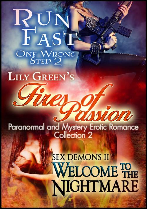 Cover of the book Fires of Passion 2: Paranormal and Mystery Erotic Romance Collection by Lily Green, Publications Circulations LLC