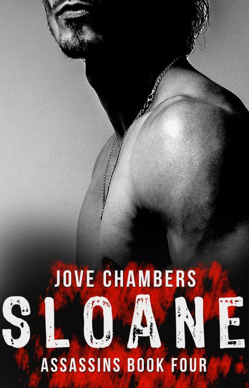 Cover of the book Sloane by Jove Chambers, Punk Rawk Books
