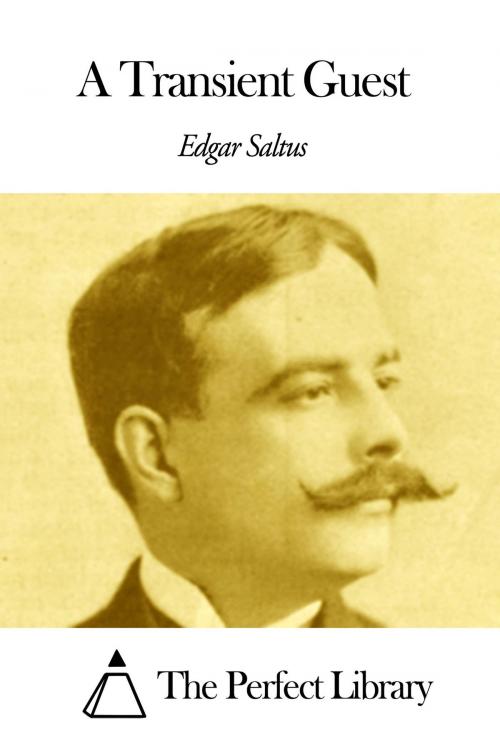 Cover of the book A Transient Guest by Edgar Saltus, The Perfect Library