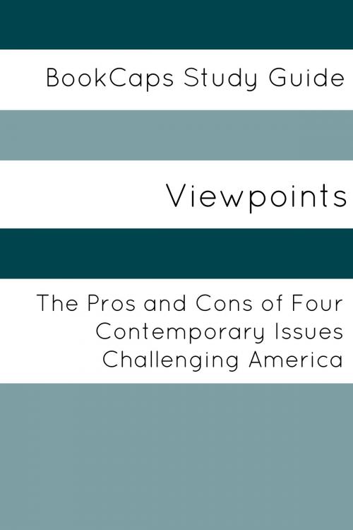 Cover of the book Viewpoints: The Pros and Cons of Four Contemporary Issues Challenging America by ViewCaps, BookCaps Study Guides