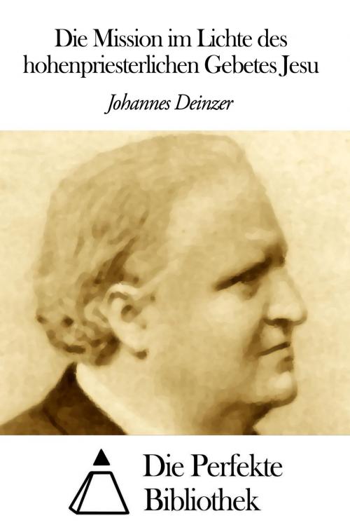 Cover of the book Letzte Stunden by Johannes Deinzer, Die Perfekte Bibliothek