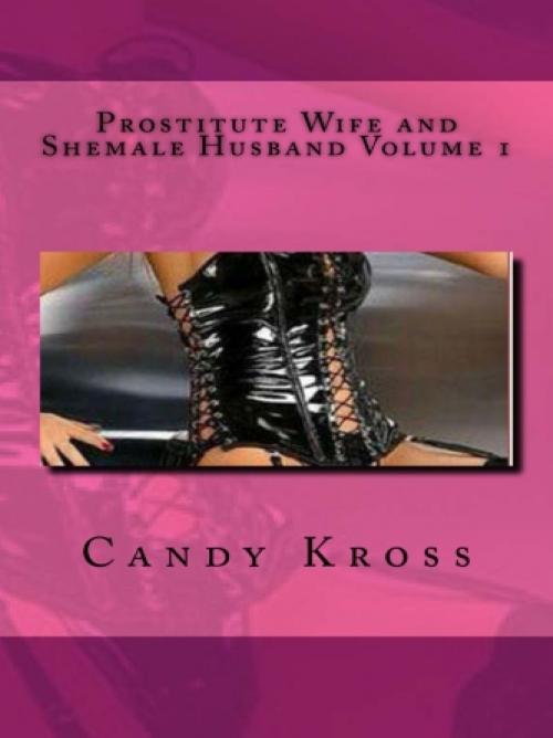 Cover of the book Prostitute Wife and Shemale Husband Volume 1 by Candy Kross, Vince Stead