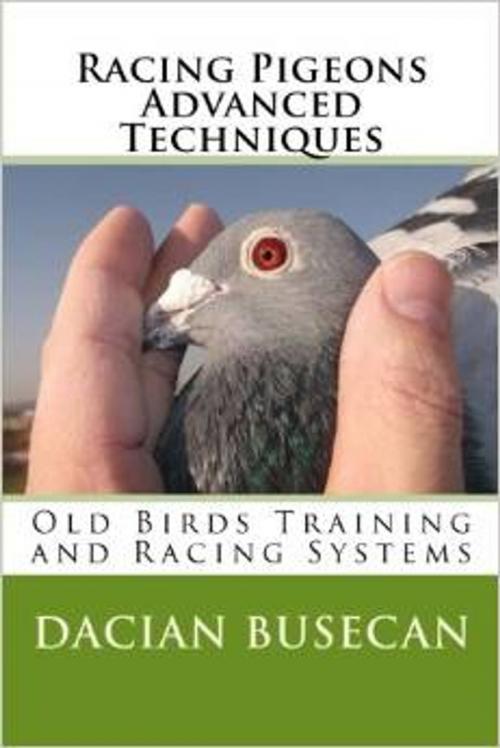 Cover of the book Racing Pigeons Advanced Techniques - Old Birds Training and Racing Systems by Dacian Busecan, Dacian Busecan