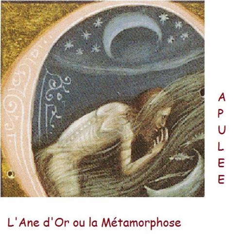 Cover of the book L’Âne d’or ou les Métamorphoses by Apulée, Désiré Nisard (traducteur), Line BONNEVILLE