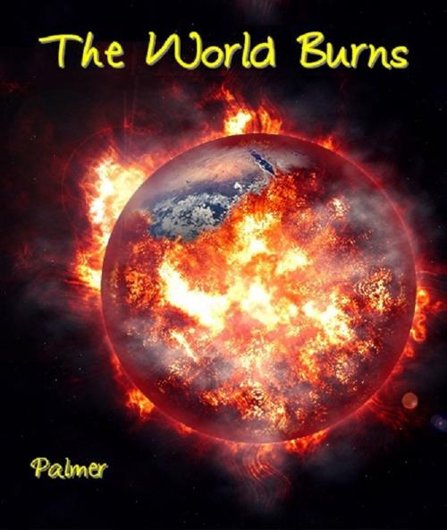 Cover of the book The World Burns by Richard Palmer, Digital Unlimited