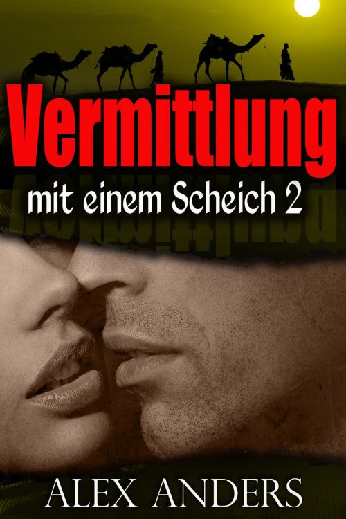 Cover of the book Vermittlung mit einem Scheich 2 by Alex Anders, RateABull Publishing