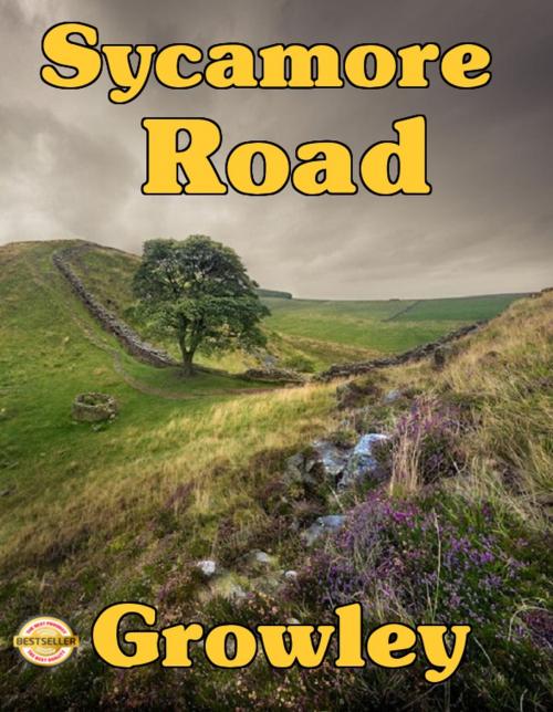 Cover of the book Sycamore Road by John Growley, Digital Unlimited