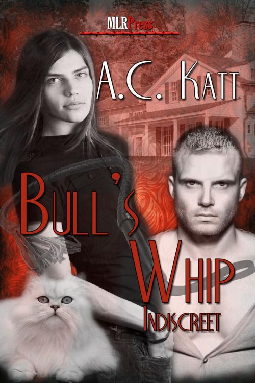 Cover of the book Bull's Whip by A.C. Katt, MLR Press