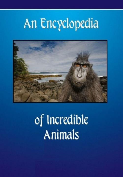 Cover of the book An Encyclopedia of Incredible Animals by Karen Macy, Digital Unlimited