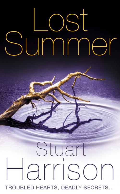Cover of the book Lost Summer by Stuart Harrison, HarperCollins Publishers