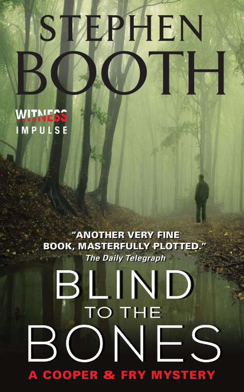 Cover of the book Blind to the Bones by Stephen Booth, Witness Impulse