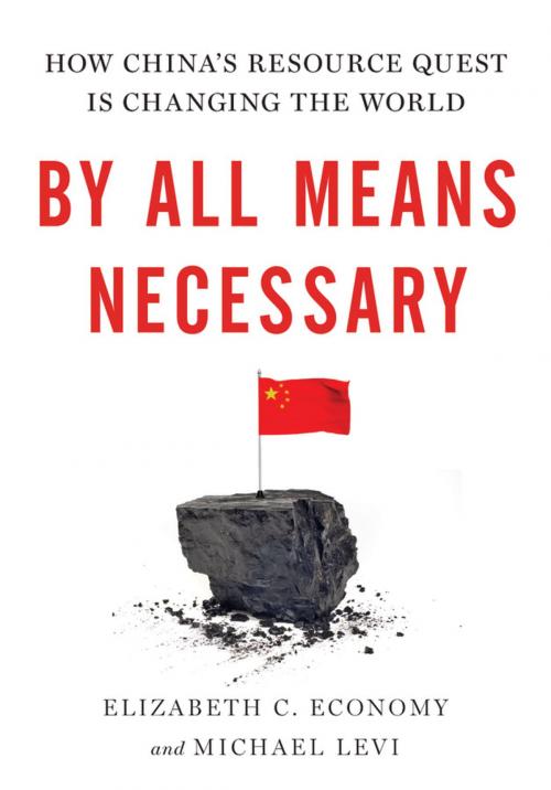 Cover of the book By All Means Necessary by Michael Levi, Elizabeth Economy, Oxford University Press
