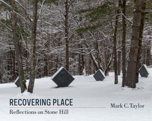 Cover of the book Recovering Place by Taylor, Columbia University Press