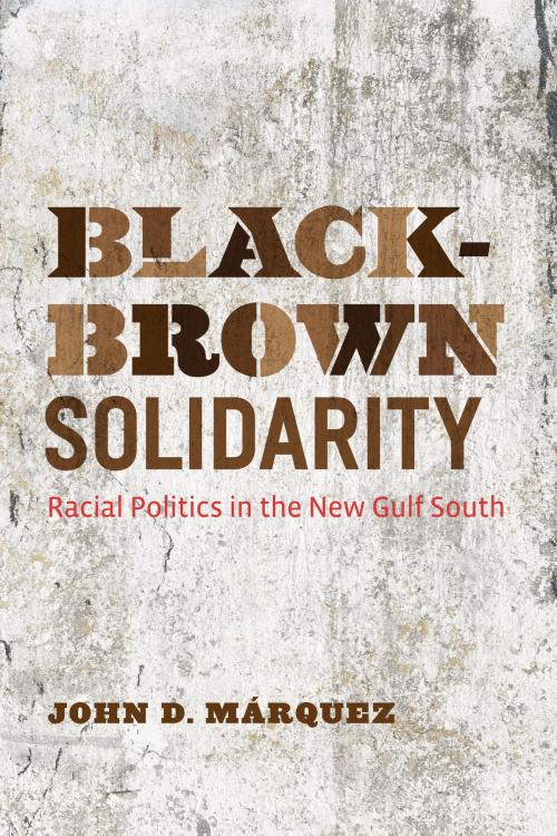 Cover of the book Black-Brown Solidarity by John D. Márquez, University of Texas Press