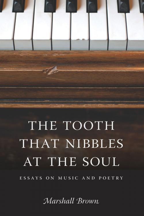 Cover of the book The Tooth That Nibbles at the Soul by Marshall Brown, University of Washington Press