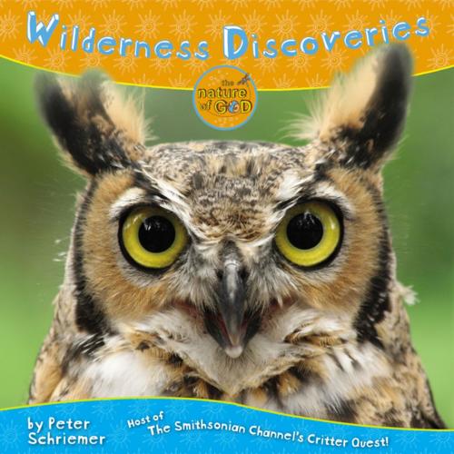 Cover of the book Wilderness Discoveries by Zondervan, Zonderkidz