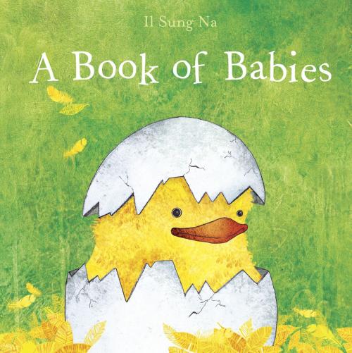 Cover of the book A Book of Babies by Il Sung Na, Random House Children's Books