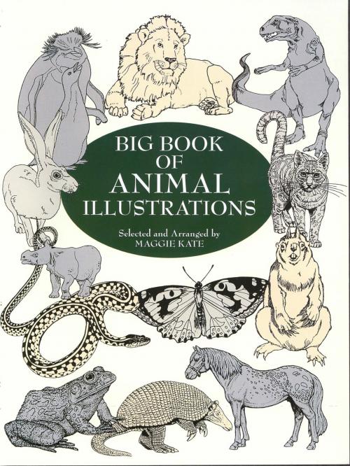 Cover of the book Big Book of Animal Illustrations by , Dover Publications