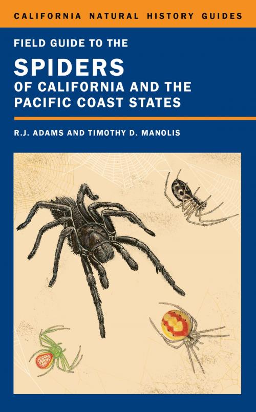 Cover of the book Field Guide to the Spiders of California and the Pacific Coast States by Richard J. Adams, University of California Press